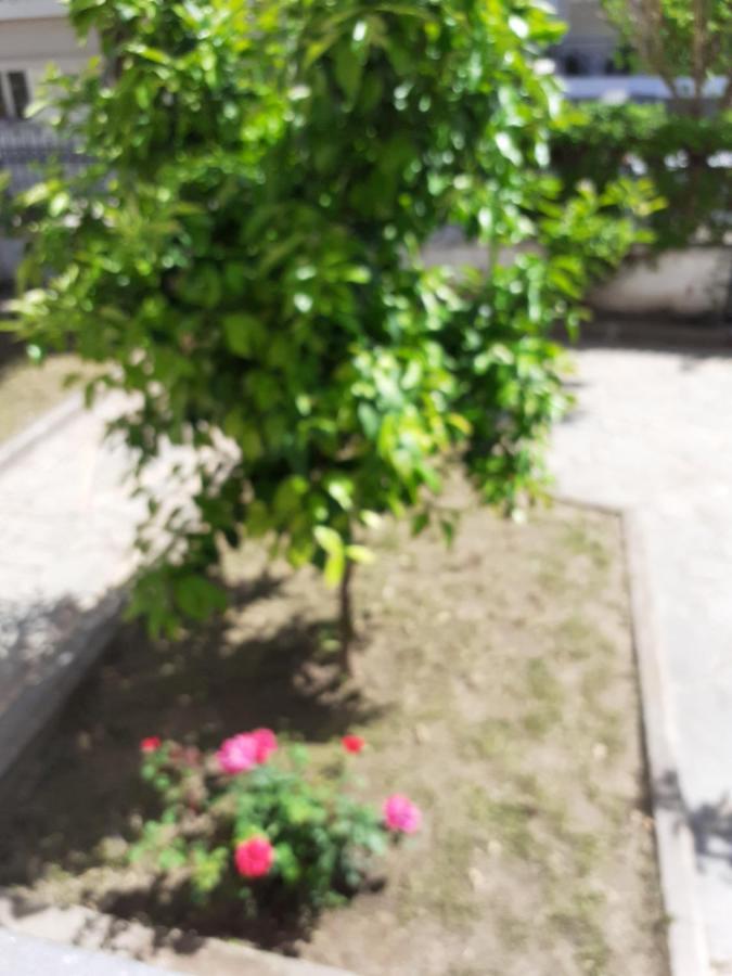 Asteris Appartment Thérmi Kültér fotó